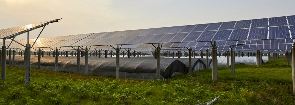 Descubra qual é o preço de uma placa solar